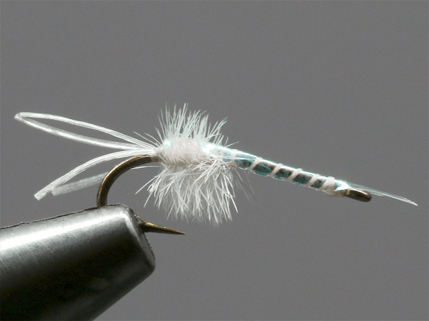 An up-close look at the Mayer's Mysis, an Umpqua featured fly