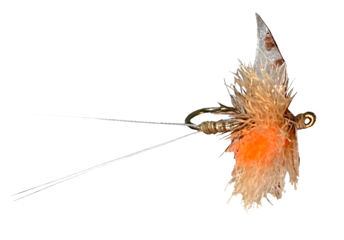 Fly Fishing for Dummies - Pinky Diablo Fishing Watercolor - Fly and Art  Store - Flyfishing Texas : Flyfishing Texas